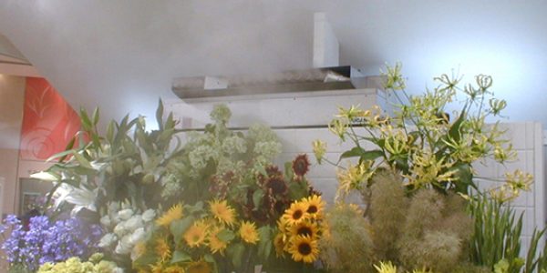 Fresh flowers with ultrasonic FT humidification equipment from Aire Fresh Systems